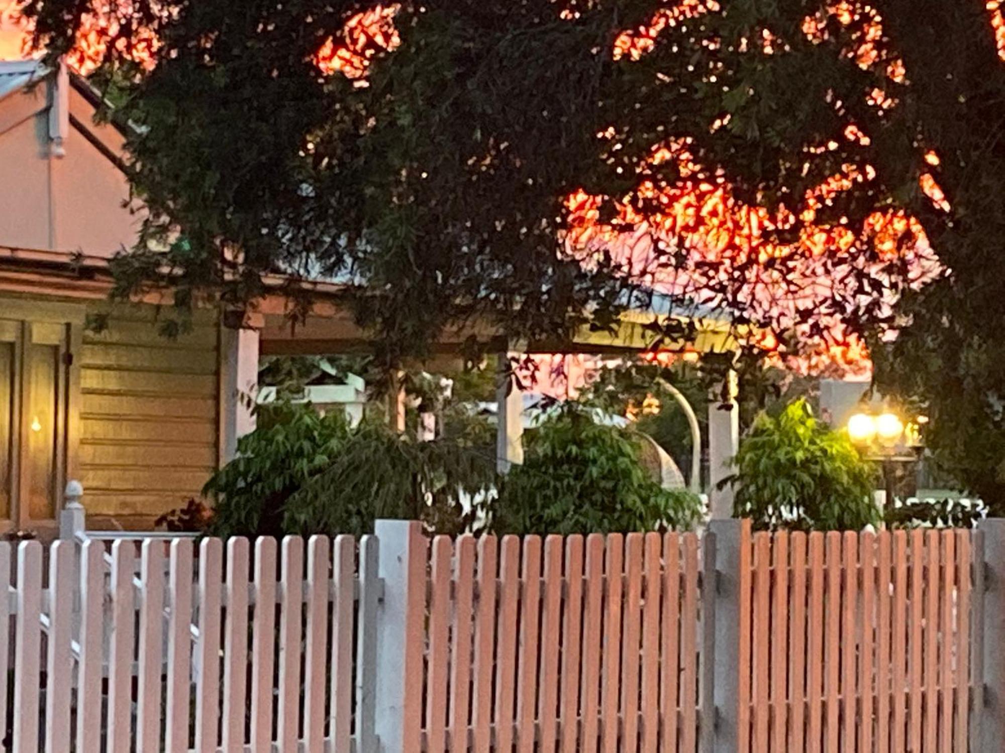 Birches B&B Taree Eksteriør bilde